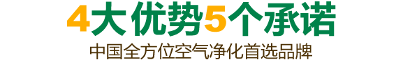 綿陽除甲醛公司優勢